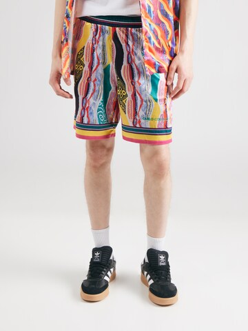 Carlo Colucci Regular Shorts in Mischfarben: Vorderseite