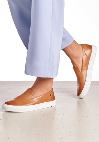 LLOYD Slip-ons in Brown: front