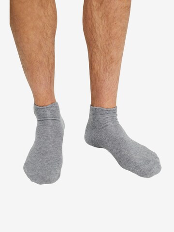 ESPRIT Socks in Mixed colors