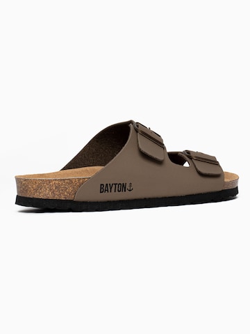 Bayton Mules 'Atlas' in Brown