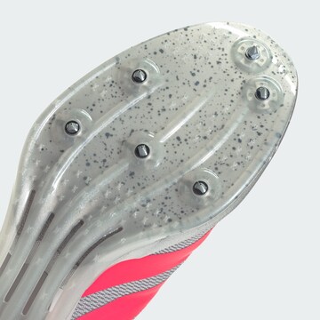 ADIDAS PERFORMANCE Loopschoen 'Adizero Prime SP 4' in Grijs