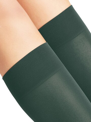 FALKE Overknee Strümpfe 'Pure Matt'‌‌‌‌‌‌‌‌‌‌ in Grün