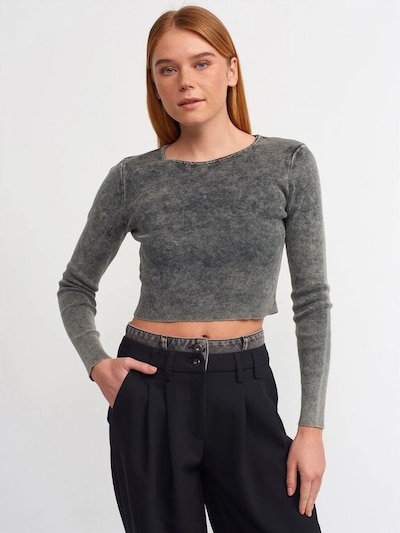 Dilvin Pull-over 'Pullover' en S-L en gris foncé, Vue avec produit