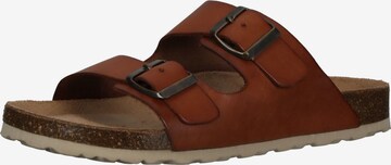 COSMOS COMFORT Mules in Brown: front