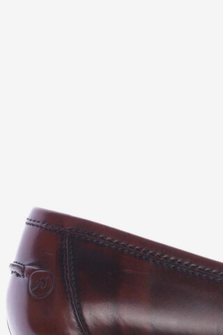 BRONX Flats & Loafers in 37 in Brown