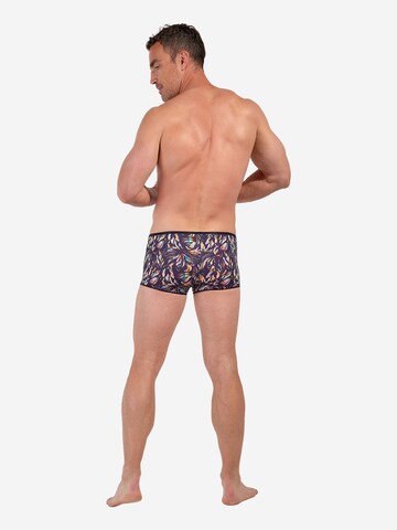 HOM Trunk ' Viscaya ' in Blau