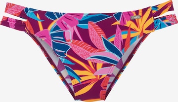 BUFFALO Bikinibroek in Lila: voorkant