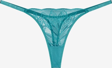TRIUMPH String 'Red Label Crazy Stupid Love' in Blau: Vorderseite