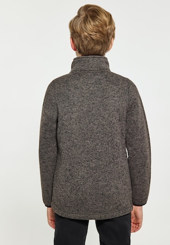 Veste en polaire Schmuddelwedda en gris