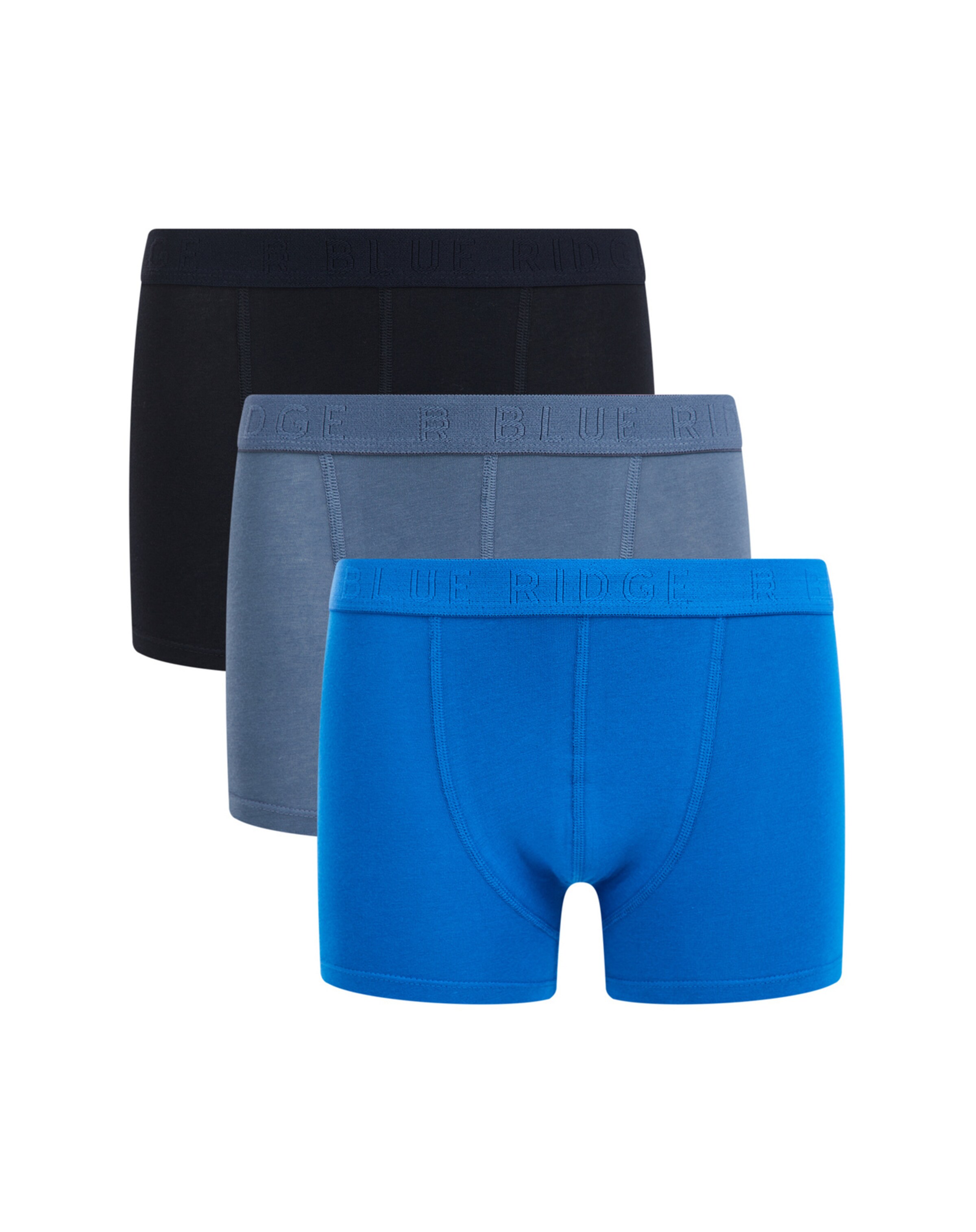 Blue ridge onderbroeken hotsell