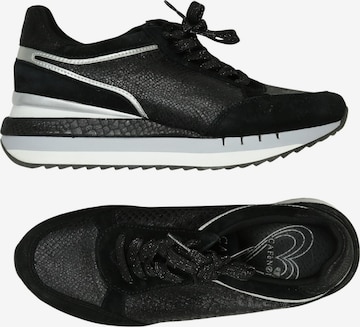 CAFÈNOIR Sneaker 38 in Mischfarben: Vorderseite