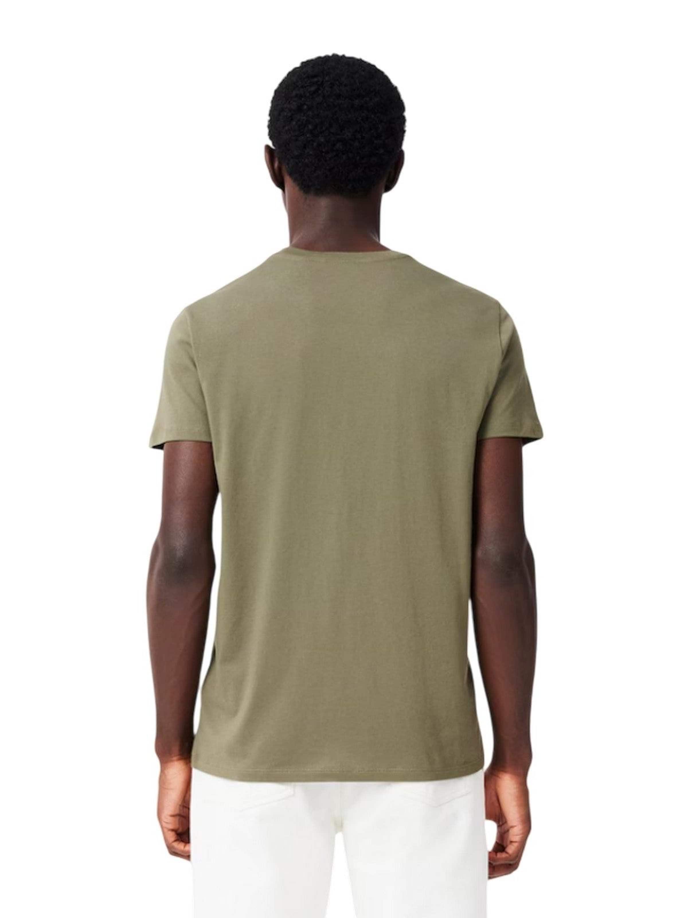 LACOSTE Shirt in Green