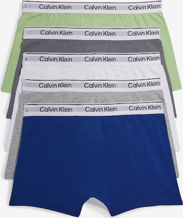 Calvin Klein Underwear Onderbroek in Blauw