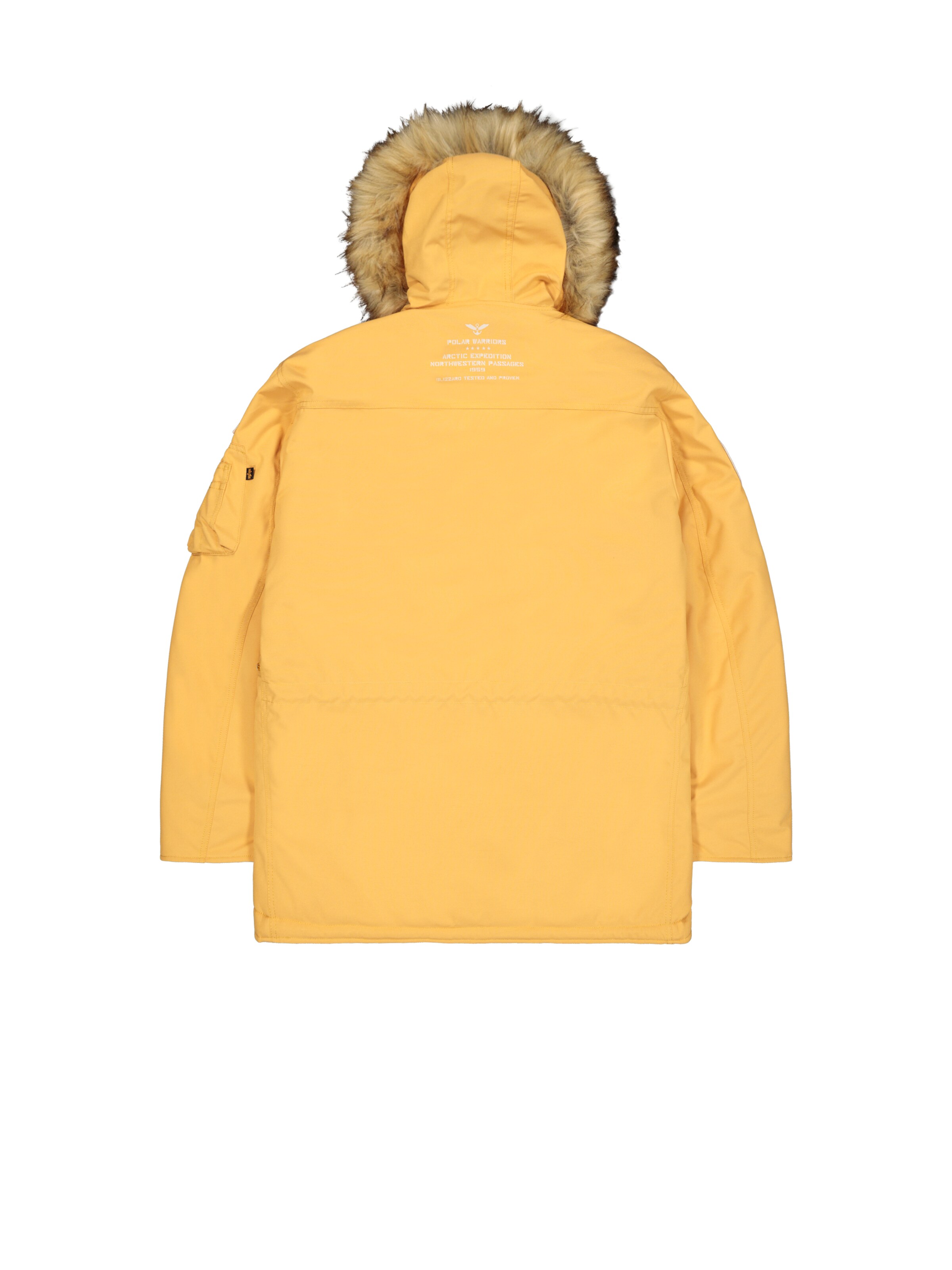 ALPHA INDUSTRIES Winter jacket 'Polar' in Yellow: back