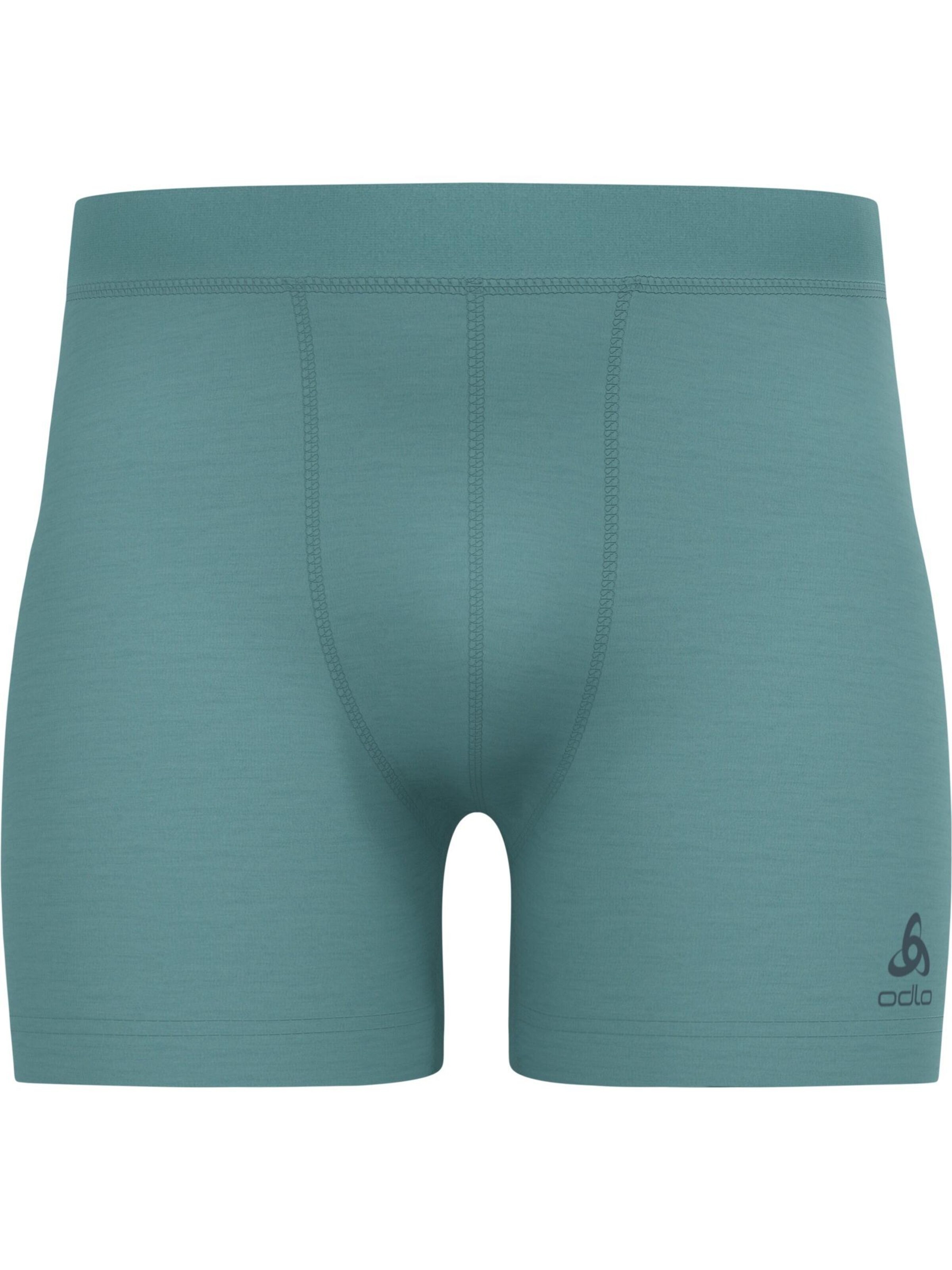 ODLO Sports underpants in Blue: front