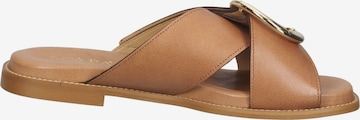 SCAPA Mules in Brown