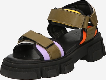 Apple of Eden Sandal 'Orly 49' i grön: framsida