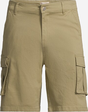 AÉROPOSTALE Shorts in Grün: predná strana