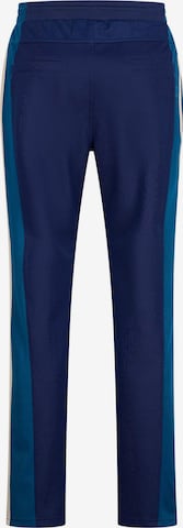 4funkyflavours Tapered Pants 'Inside The Danja Zone' in Blue