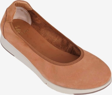 Desa - Bailarina 'DESA Damen DesaComfort Ballerinas aus Nubukleder' en marrón: frente