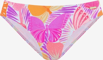 SUNSEEKER Bikiniunderdel i blandingsfarger: forside