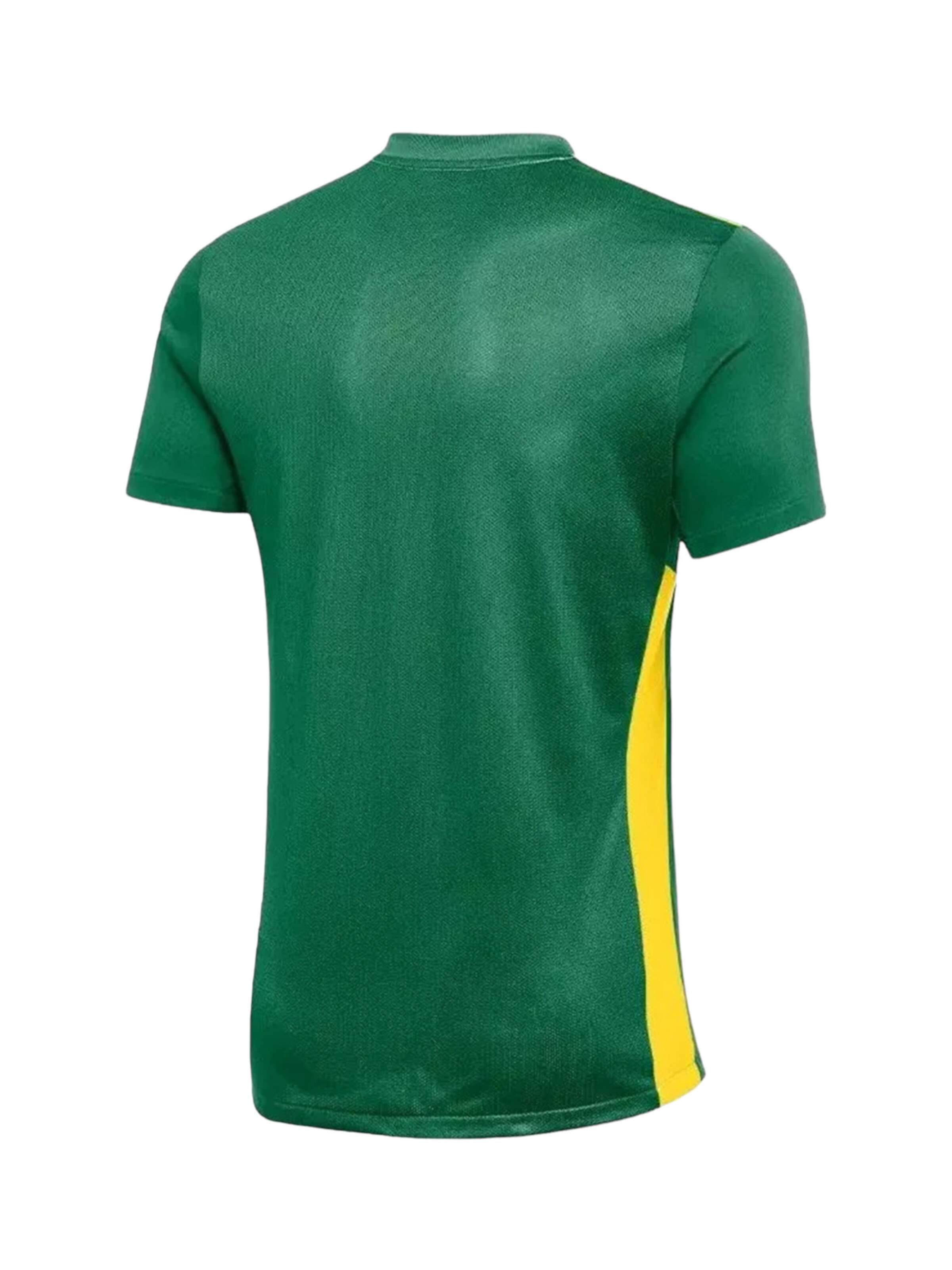 NIKE Performance Shirt in Green