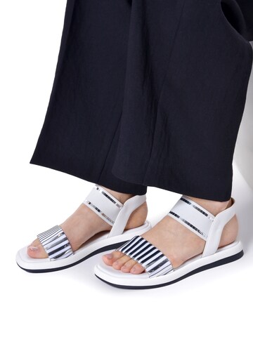BALDININI Strap Sandals in White: front