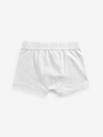 Next Underpants in White