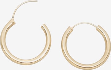 Boucles d'oreilles fejn en or : devant