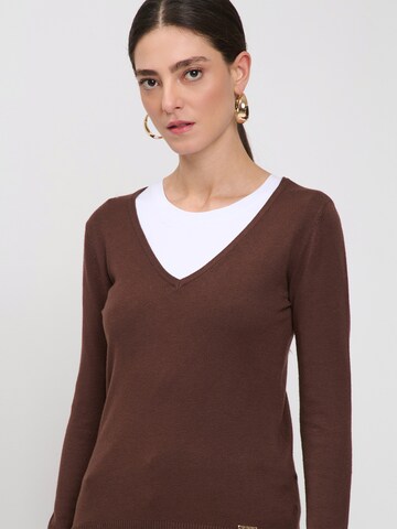 Influencer Sweater in Brown