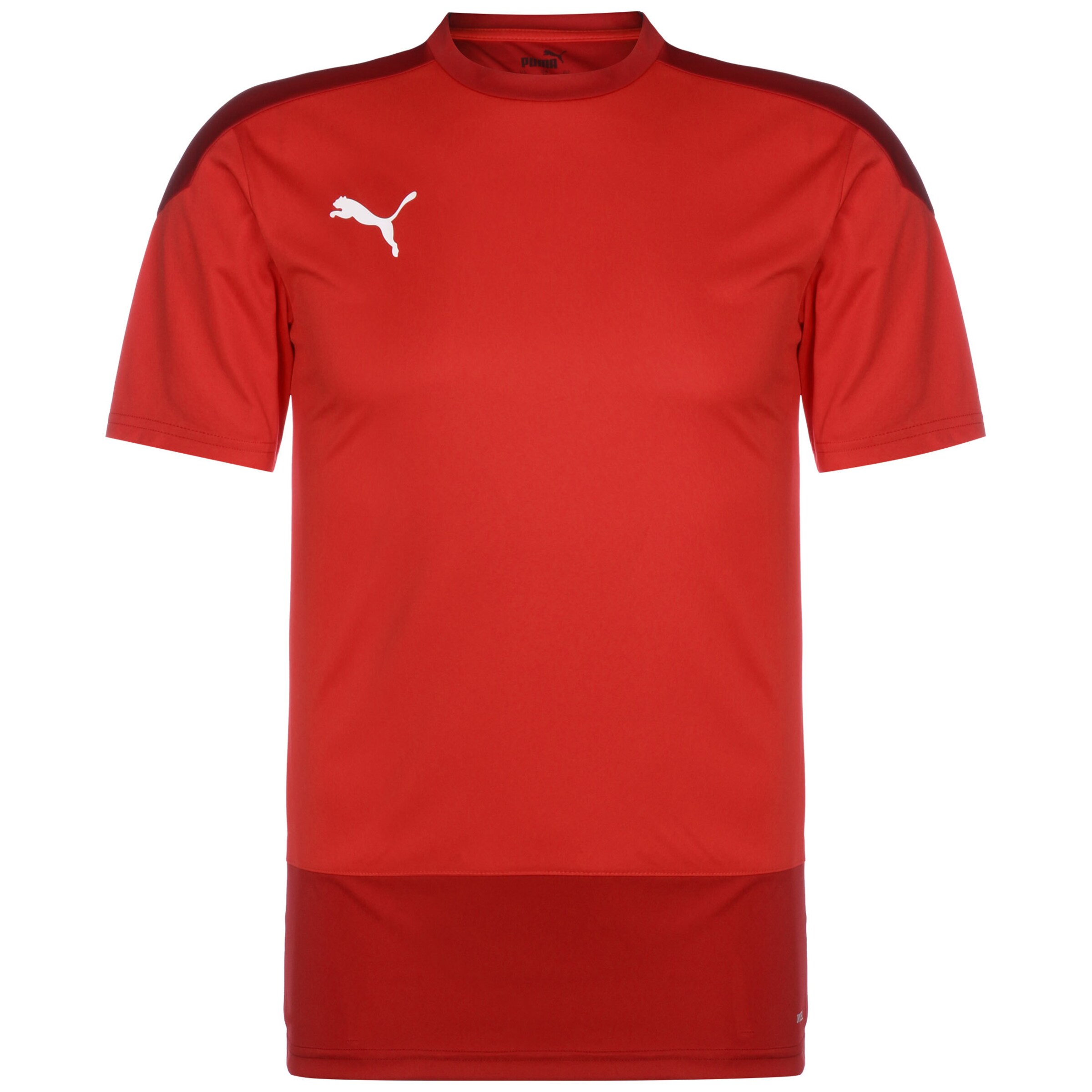 PUMA Performance Shirt 'TeamGoal 23' in Red: front