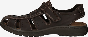 IMAC Sandals in Brown