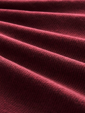 Tom Tailor Women + - Pullover em roxo