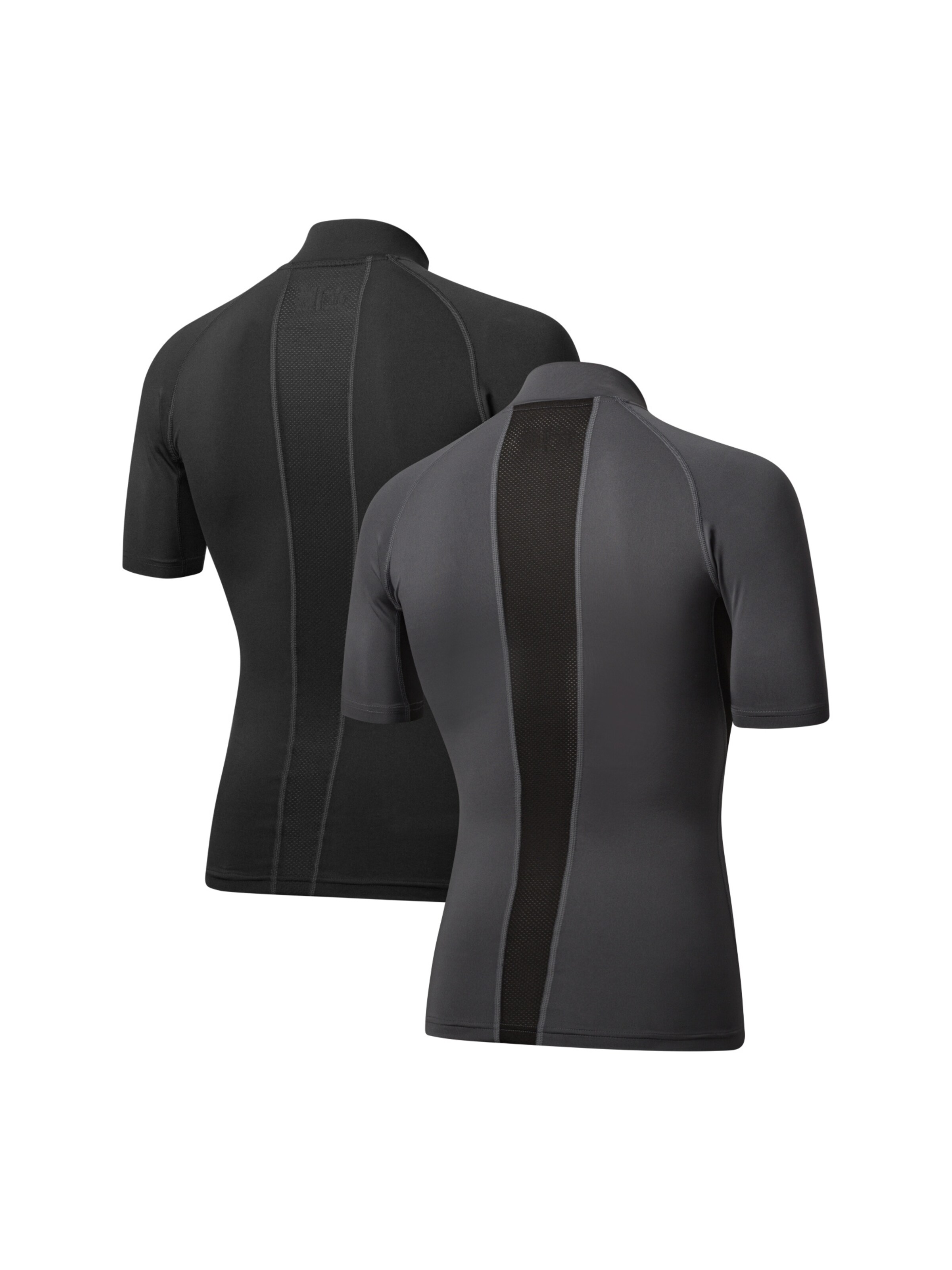 DANISH ENDURANCE Sportsweatshirt 'Compression SS' in Grijs