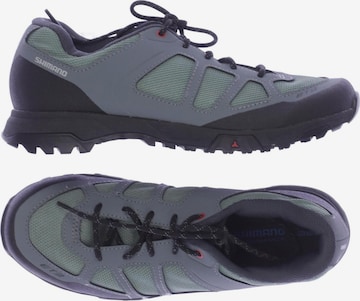 SHIMANO Sneakers & Trainers in 38 in Grey: front