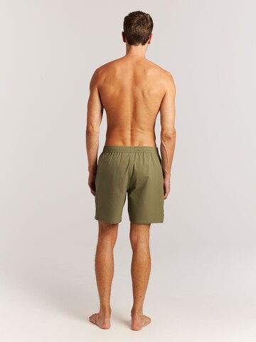 PROTEST Board Shorts 'PRTBAKY' in Green
