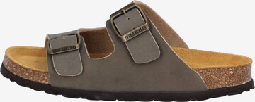 Palado Sandals & Slippers 'Korfu B Basic' in Grey