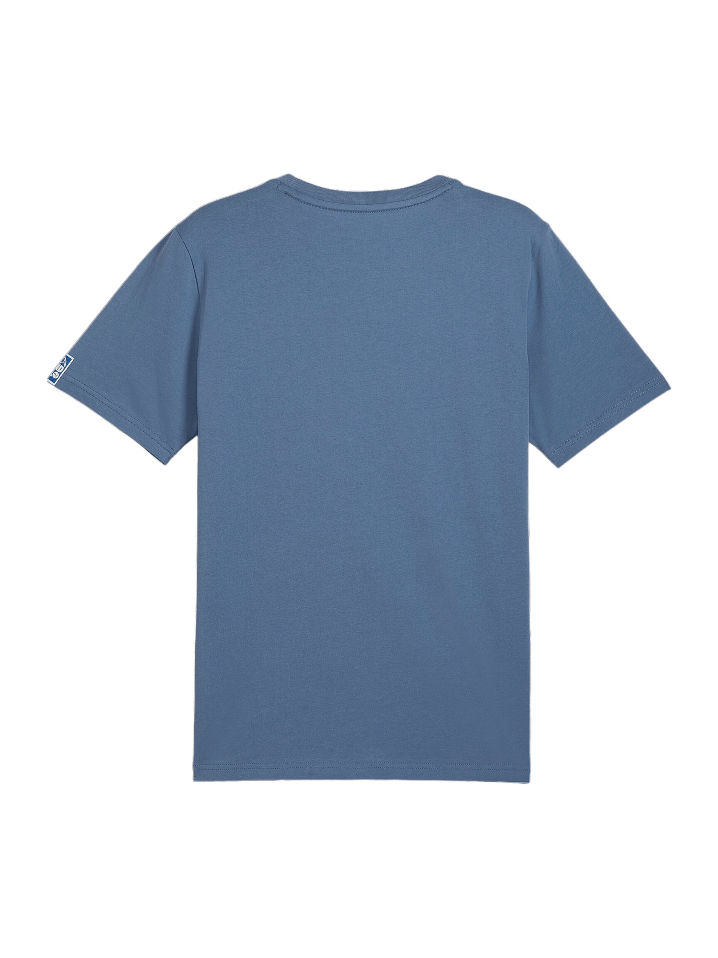 PUMA Performance Shirt in Blue
