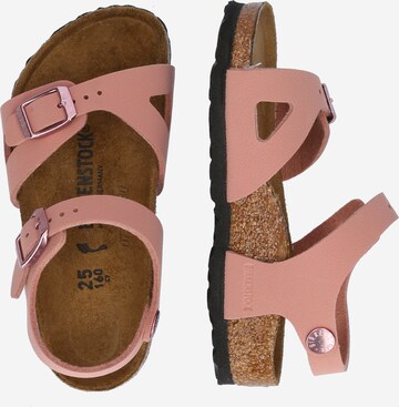 BIRKENSTOCK Босоножки 'Rio' в Ярко-розовый