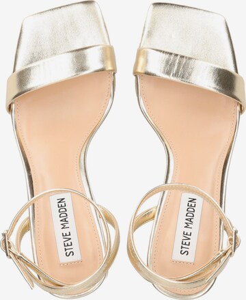 STEVE MADDEN Strap Sandals in Gold