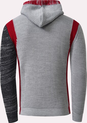 Rusty Neal Pullover in Grau