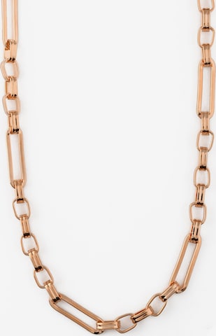 Orelia Necklace in Gold: front