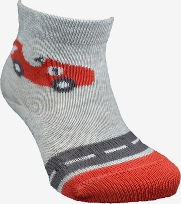 ROGO Socks in Grey