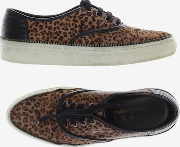 The Kooples Sneaker 37 in Braun: Vorderseite