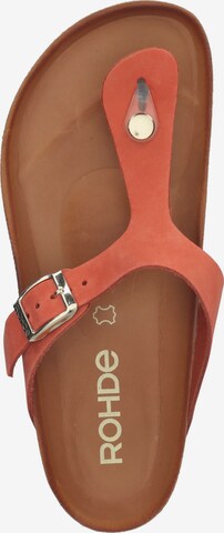 ROHDE Mules in Orange