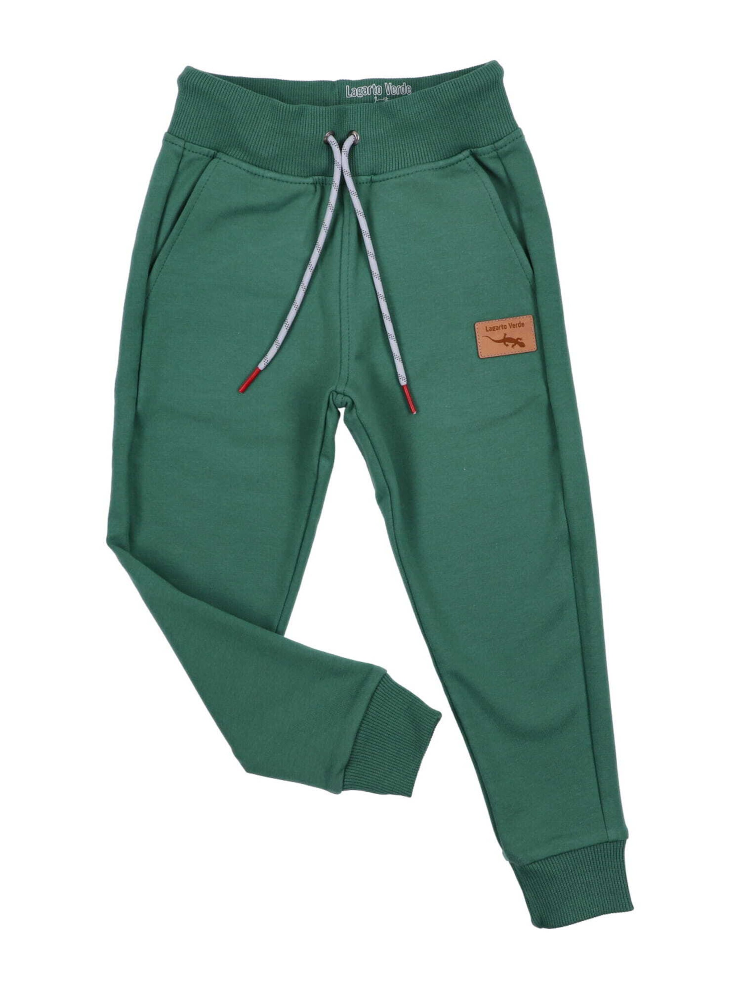 Lagarto Verde Tapered Broek in Groen