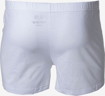 CECEBA Boxer shorts in White