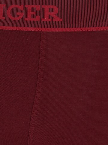Boxers Tommy Hilfiger Underwear en bleu