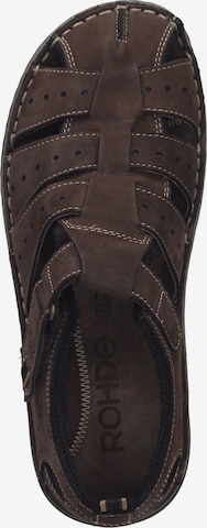 ROHDE Sandals in Brown