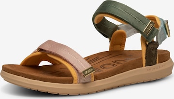 WODEN Sandals 'Line Lite' in Green: front